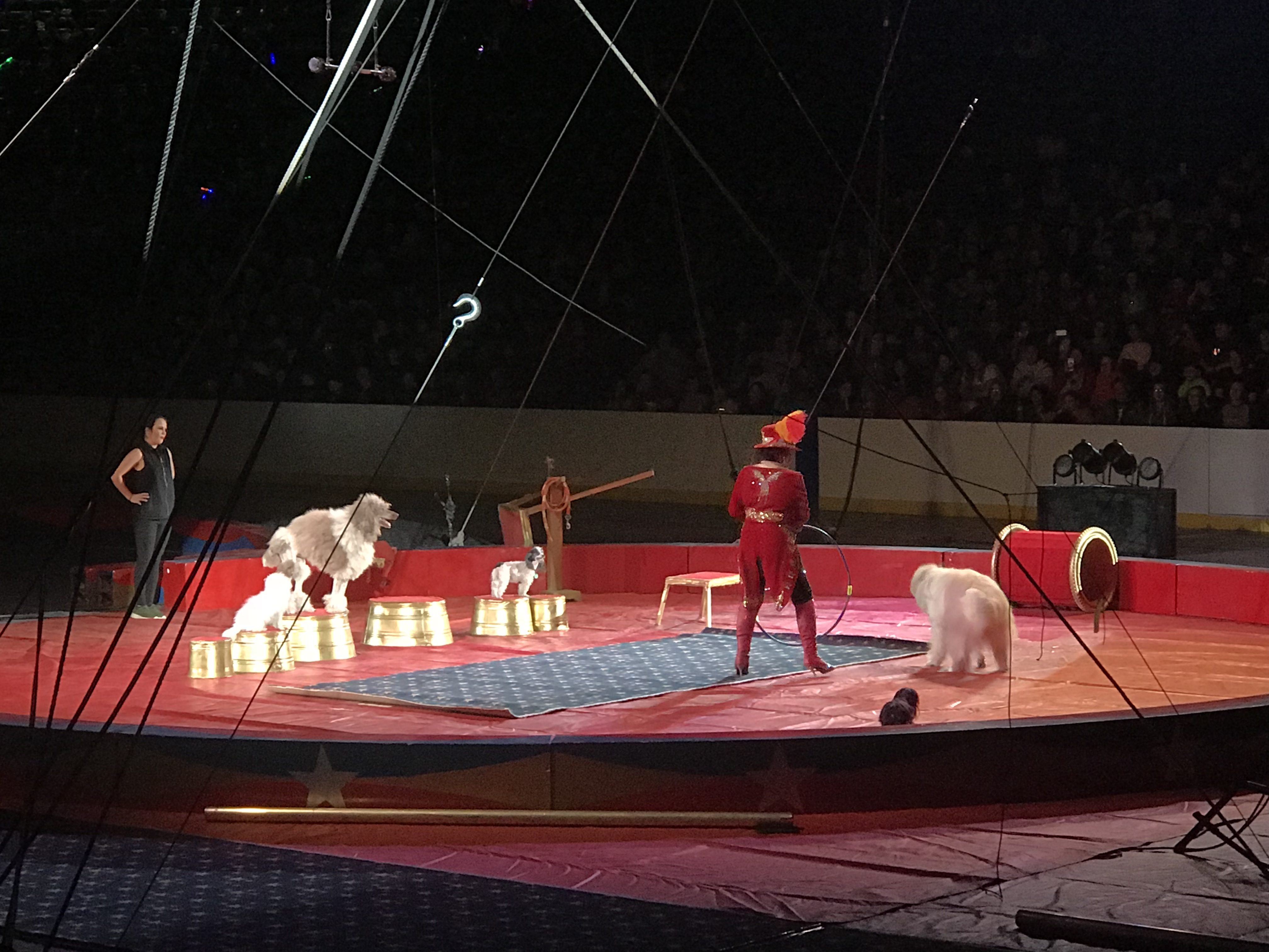 The 90th annual Tangier Shrine Circus is filled with family fun for all